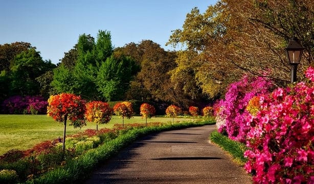 Aménagement de jardin - Extérieur