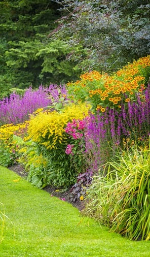 Plantation végétation - Aménagement de jardin